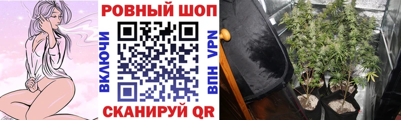 Что такое Мурманск Галлюциногенные грибы Конопля СОЛЬ Меф ГАШИШ