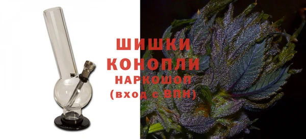 гидропоника Богданович