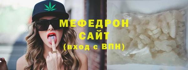 индика Ельня