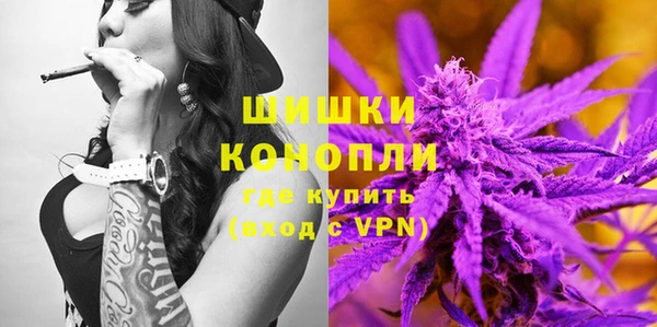 прущий лед Шали
